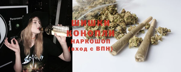 дурь Каменка