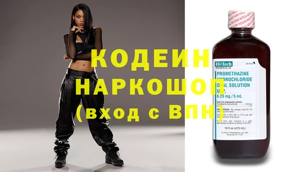 дурь Каменка