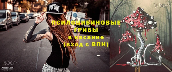 стаф Беслан