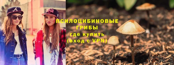 дурь Каменка