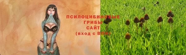 дурь Каменка