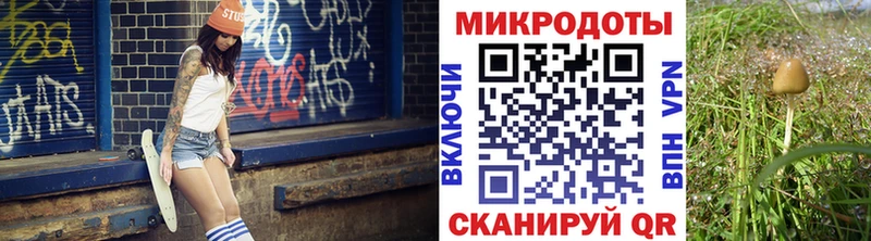 как найти   Мценск  Псилоцибиновые грибы прущие грибы 