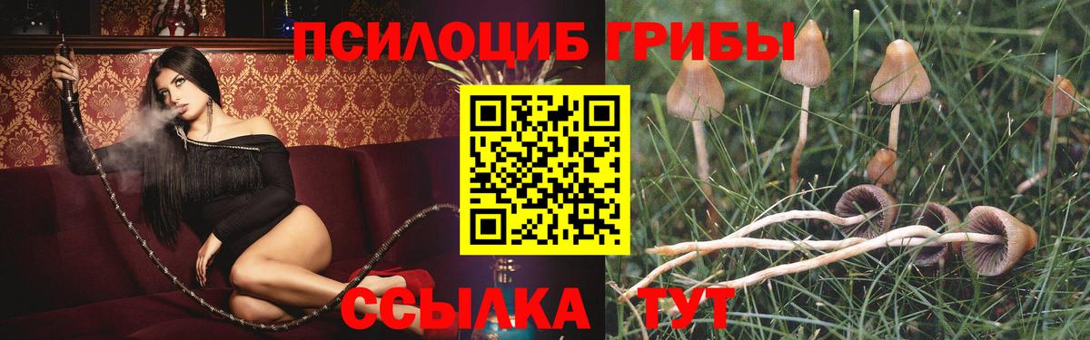 Псилоцибиновые грибы MAGIC MUSHROOMS Мценск