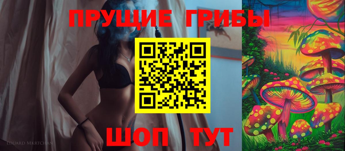 купить закладку  Псилоцибиновые грибы Psilocybe  Вход с VPN  Мценск 